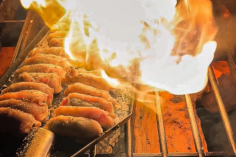 Bush Griddle 在焚火架上料理餃子,示意鐵板表面需要依原廠方式清潔與養護